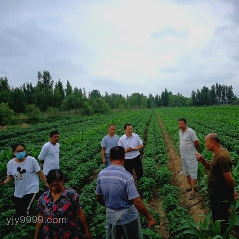 以色列面對(duì)“環(huán)保少女”爭(zhēng)議：輿論風(fēng)暴與行業(yè)影響深度剖析