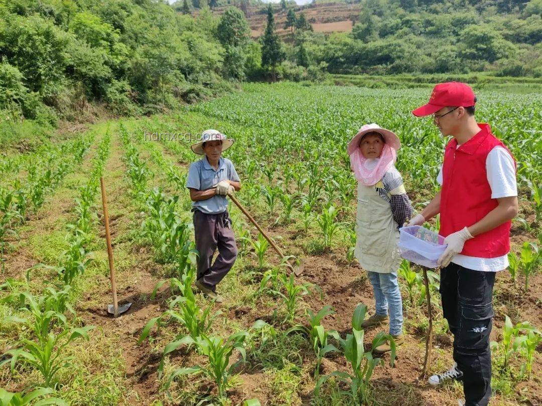 加固溪流生態(tài)，河貍先生引領(lǐng)綠植移栽新趨勢(shì)