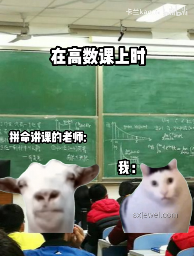 大司馬貓meme：網(wǎng)絡(luò)迷因的娛樂(lè)與情感共鳴