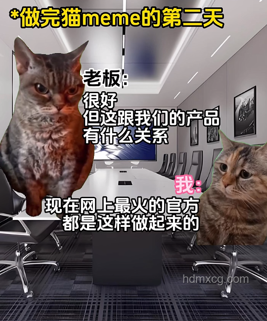 大司馬貓Meme：創(chuàng)意跨界，重塑娛樂新生態(tài)