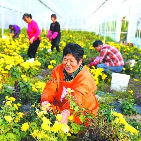 2025高考數(shù)學安心課：掌握解題技巧，輕松備考