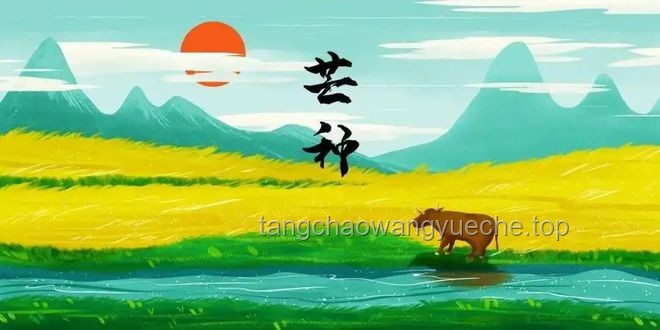 今日芒種如何科學(xué)農(nóng)耕，應(yīng)對(duì)氣候變化