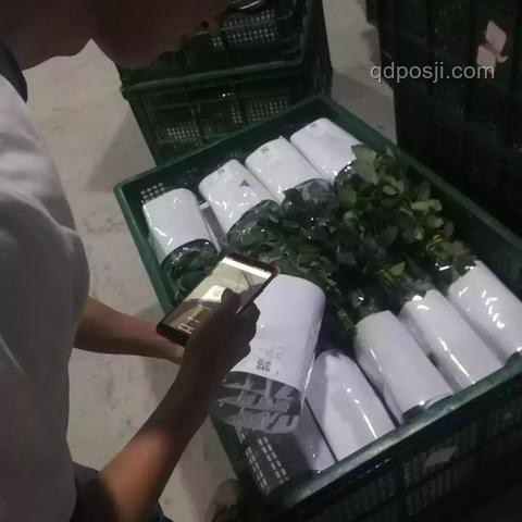 戀愛(ài)秘籍：一束花與正式告白的浪漫啟程????