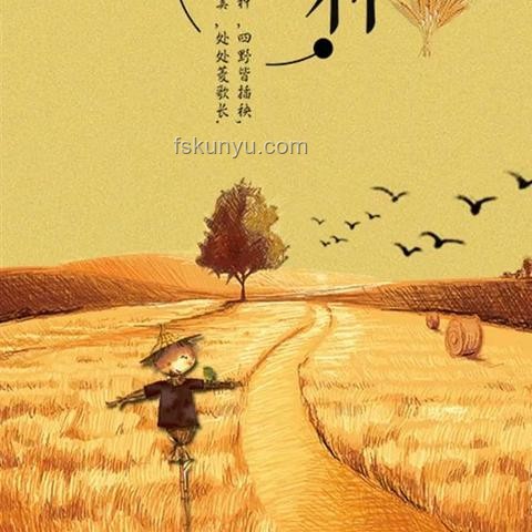 芒種節(jié)氣飲食選擇對比分析