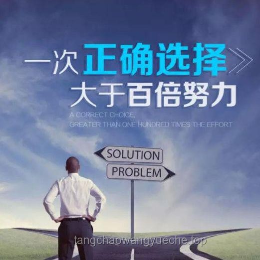 雙生抉擇進(jìn)行曲：解決人生重要選擇難題