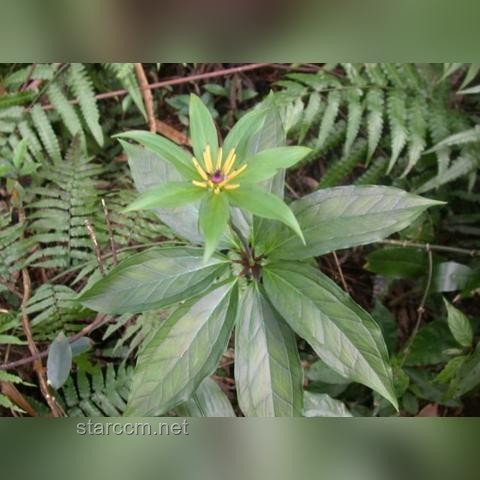 女子疑被蛇咬致死事件背后的蛇傷救治行業(yè)洞察