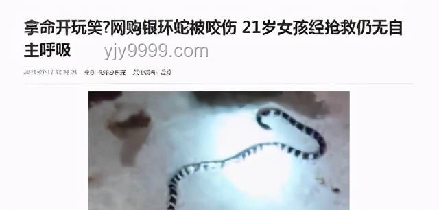 女子疑被蛇咬死事件趨勢(shì)：尸檢或揭真相，安全意識(shí)待提升