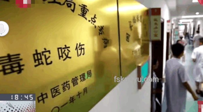 女子疑被蛇咬死家屬應(yīng)對指南：了解尸檢重要性及流程
