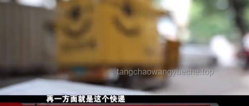 女子疑被蛇咬死事件對比分析：真相探尋與家屬態(tài)度