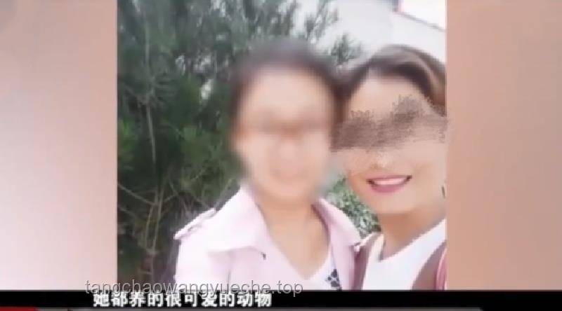 女子疑被蛇咬死事件對比分析：真相探尋與家屬態(tài)度