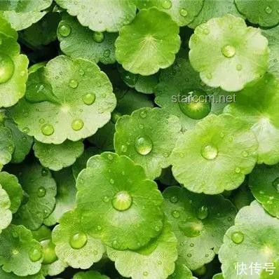 40℃高溫生存指南，應(yīng)對酷夏必備知識