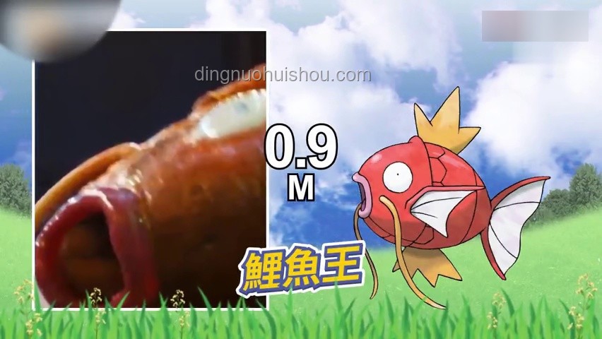 精靈寶可夢中的有趣冷知識案例研究