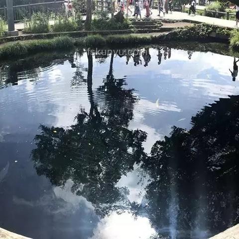 京都大學(xué)數(shù)據(jù)科學(xué)&東大情報理工CS合格經(jīng)驗分享