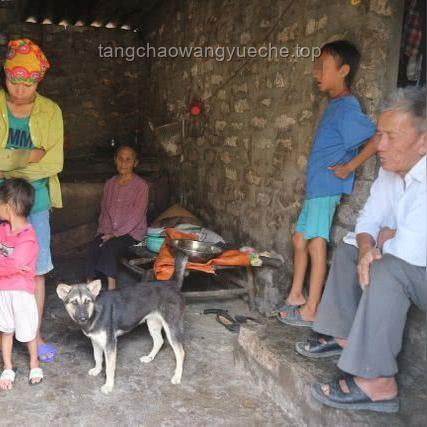 越南廢除“兩孩”生育限制，行業(yè)洞察與未來(lái)展望