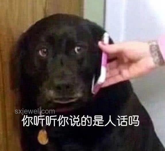 標(biāo)題：狗吃屎的啟示：人生三大導(dǎo)師教會我的事??