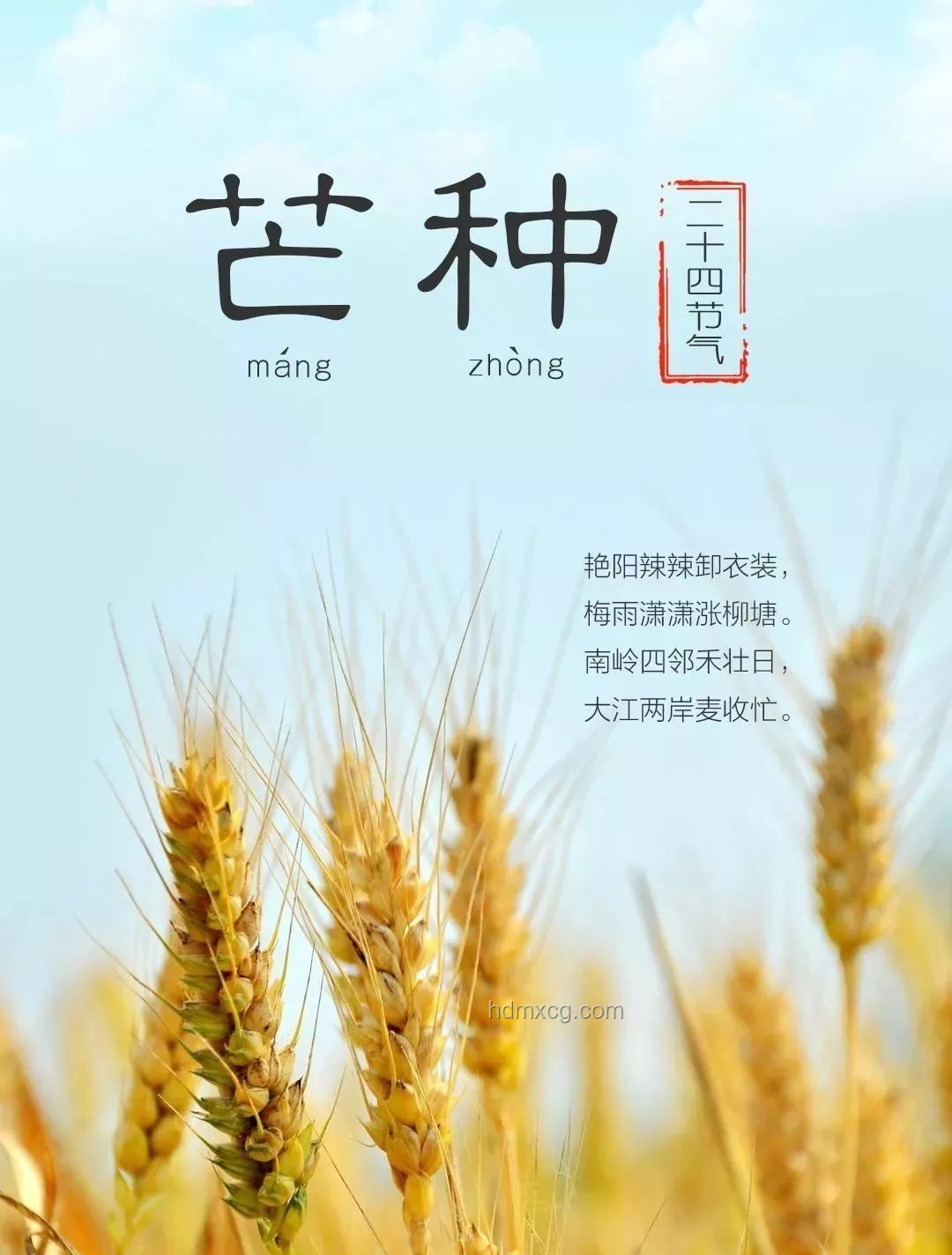 今日芒種，播種創(chuàng)新之種：跨界融合播種未來(lái)