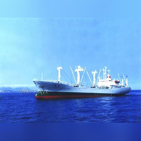 載車(chē)輪船太平洋起火事件洞察：電動(dòng)汽車(chē)海運(yùn)安全風(fēng)險(xiǎn)加劇