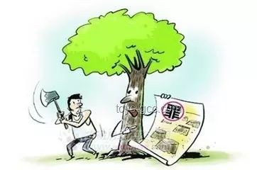 印一醫(yī)生被強(qiáng)奸犯家屬綁樹(shù)上毆打：解決方案與預(yù)防措施
