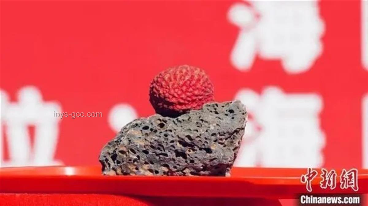 ?？趩晤w荔枝王拍賣(mài)出6.8萬(wàn)元高價(jià)，火山荔枝產(chǎn)業(yè)火爆