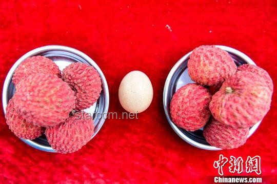 ?？诶笾ν醺邇r(jià)拍賣問題解決策略
