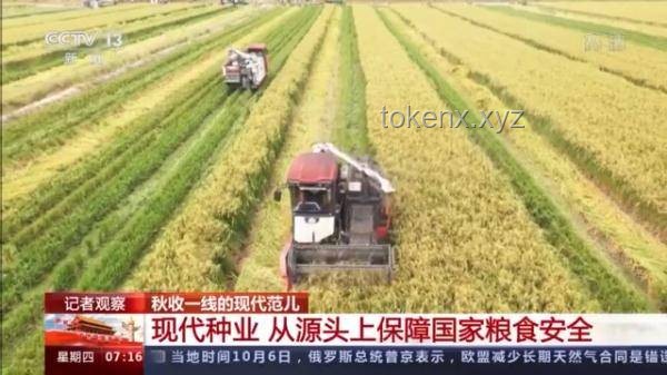 今日芒種：農(nóng)耕習(xí)俗與現(xiàn)代生活融合指南 ??,農(nóng)事活動(dòng),養(yǎng)生建議,種植技巧,節(jié)氣飲食
