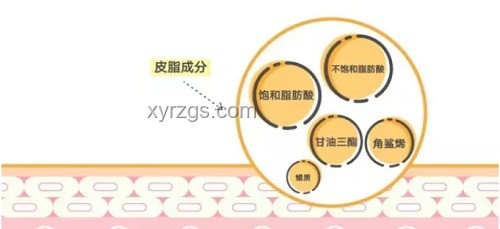 全合成與傳統(tǒng)合成的對(duì)比分析：意義何在？