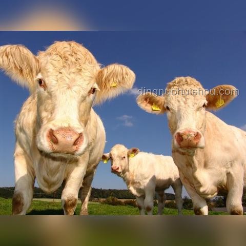 創(chuàng)業(yè)一年，人間三年：未來(lái)三年創(chuàng)業(yè)趨勢(shì)前瞻