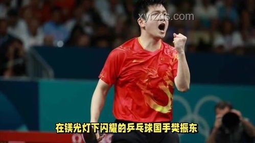 奧運(yùn)乒乓球決賽汗量差異研究：莫雷加德與樊振東對比