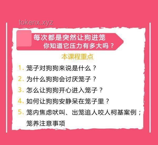 幸運(yùn)食客中獎(jiǎng)VS常規(guī)消費(fèi)體驗(yàn)：男子吃面中特等獎(jiǎng)66666元案例分析