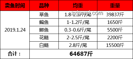 幸運(yùn)食客中獎案例分析：男子吃面中66666元與常規(guī)消費(fèi)對比