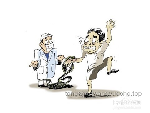 毒蛇咬傷啟示錄：跨界救援與應(yīng)急創(chuàng)新