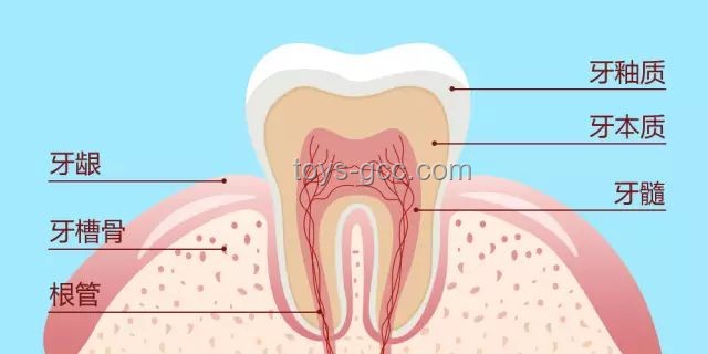 韋神牙周炎治療深度分析：口腔健康維護(hù)的重要性