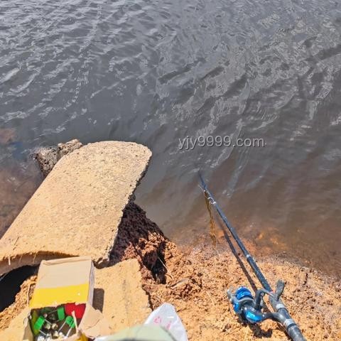 釣魚佬新風(fēng)尚：出水即入鍋的餐飲革命