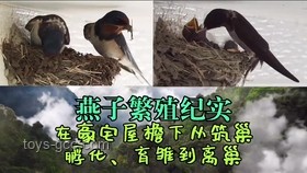 釣魚佬新風(fēng)尚：出水瞬烹，禮遇自然之味