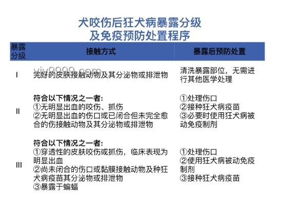 女生河邊散步遭蝮蛇咬傷：急救、防范與生態(tài)趨勢分析