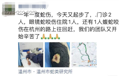 女生河邊散步被蝮蛇咬傷腳應(yīng)急處理