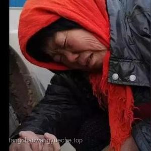 女網(wǎng)紅違停耍橫，跳上警車終被拘：一時沖動，終身教訓
