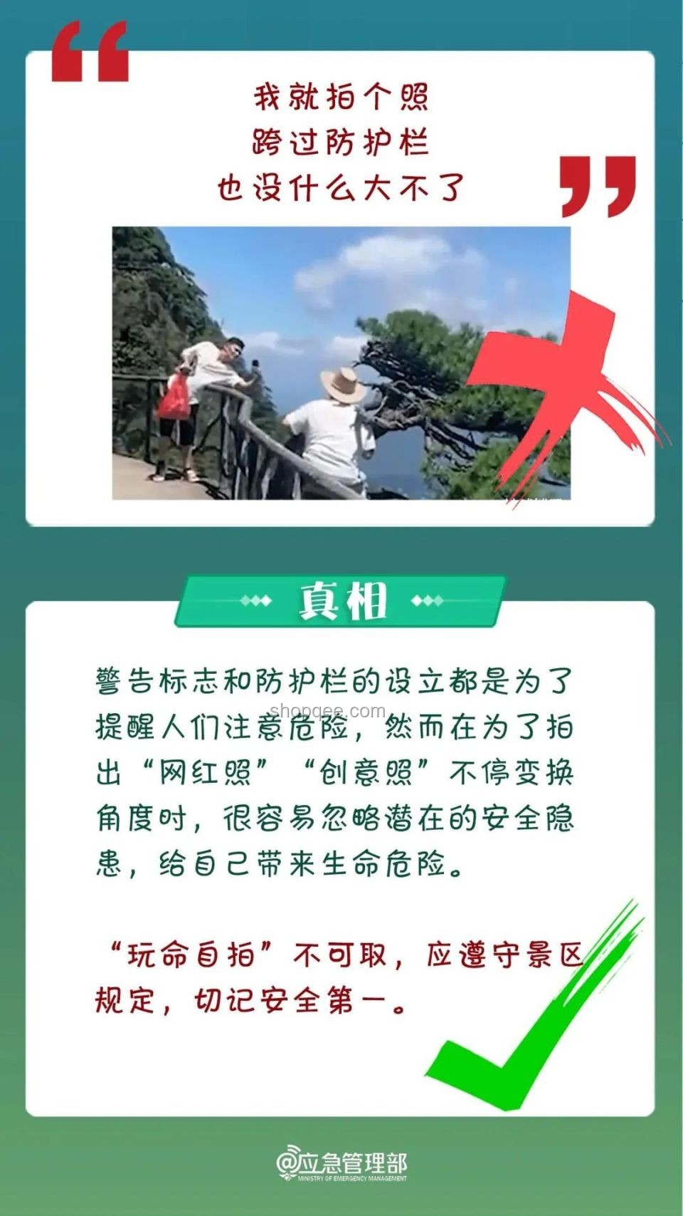 真相探索新徑：三亞被咬事件與公眾認(rèn)知重構(gòu)