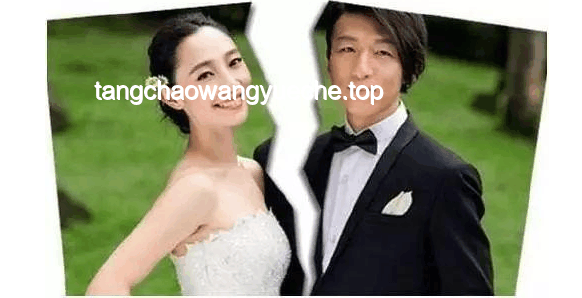 娛樂圈家庭紛爭下的公眾形象與責(zé)任擔(dān)當(dāng)