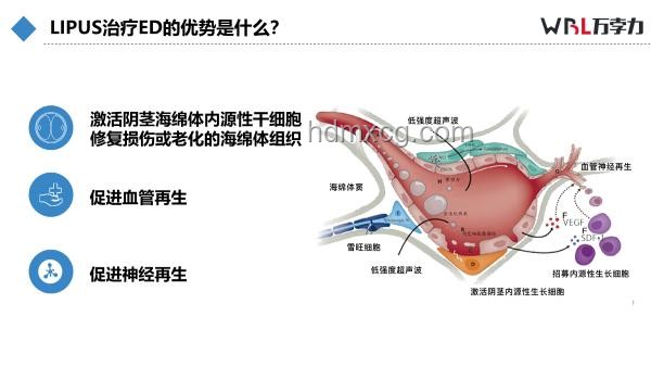 韋神牙周炎啟示：從健康到創(chuàng)新的跨界思維