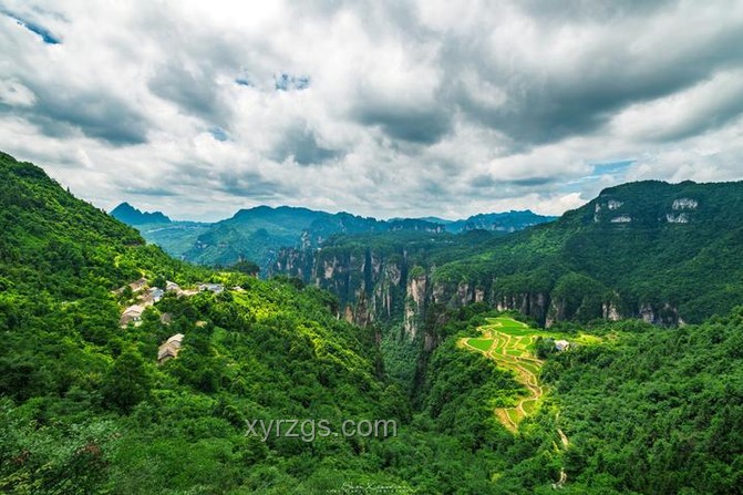 央視攝像機(jī)器狗探秘哀牢山：科技與自然奇妙融合