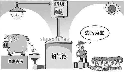 高考釘子戶的堅持：公共資源利用的新視角？