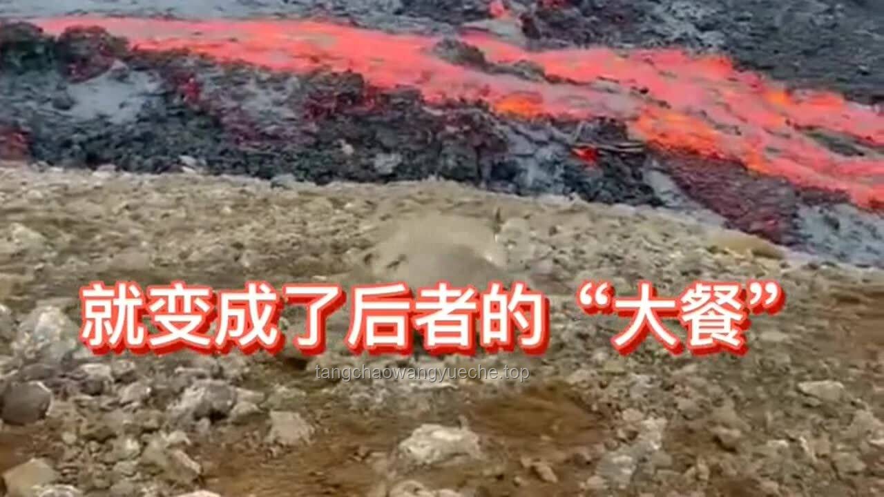 巖漿與鋼水混合能否讓石頭和鋼鐵融合？
