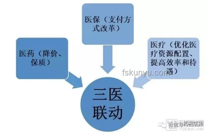 俄烏局勢新視角：創(chuàng)新思維下的和平變量探索