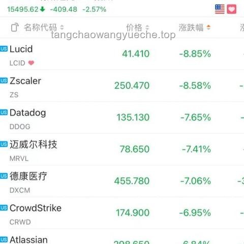 特斯拉市值暴跌的幕后真相與反思