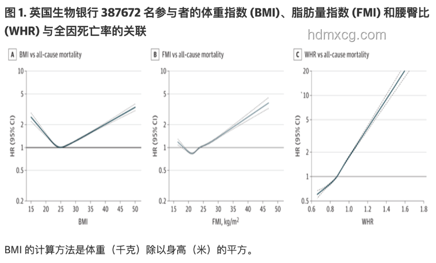 梨形身材VS其他身材：基因彩票引熱議