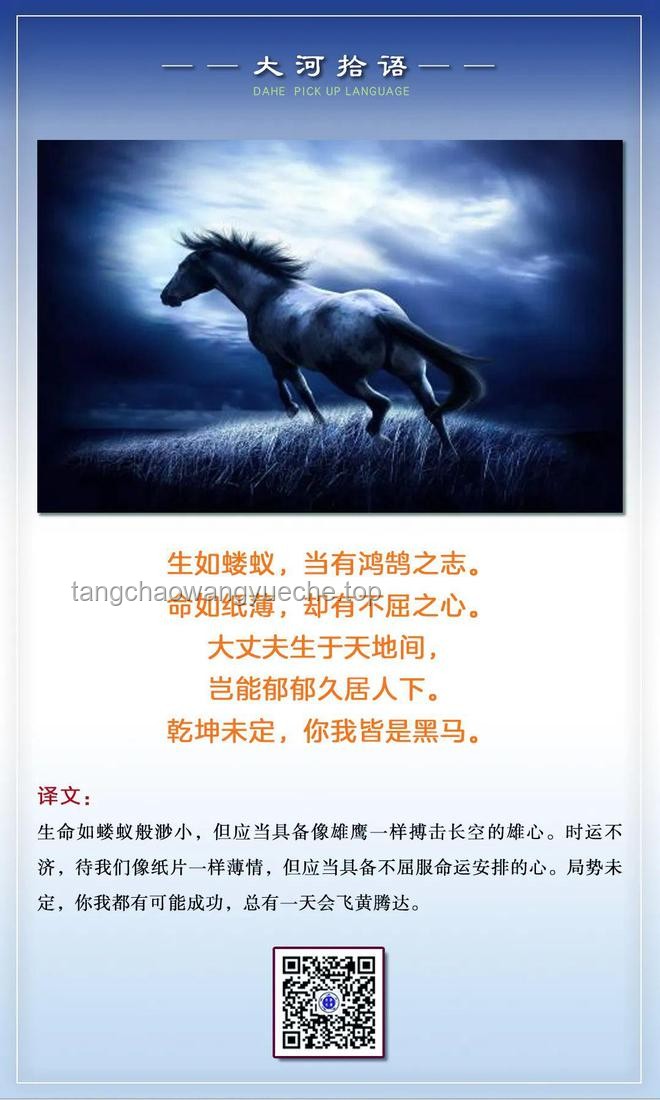 乾坤未定，你我皆是黑馬：探索人生無限可能