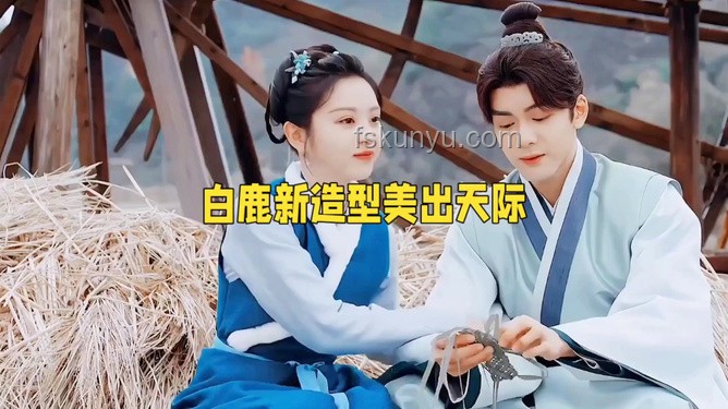 白鹿臨江仙婚紗事件營(yíng)銷案例研究