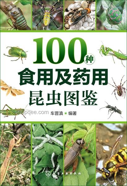 蟲咬風險高發(fā)期：蟲害防控行業(yè)迎來挑戰(zhàn)與機遇