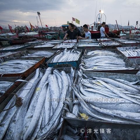 三亞女游客腸胃不適應(yīng)對指南：家屬必看步驟